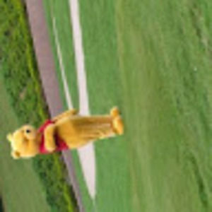 Meet your Posher, Laila